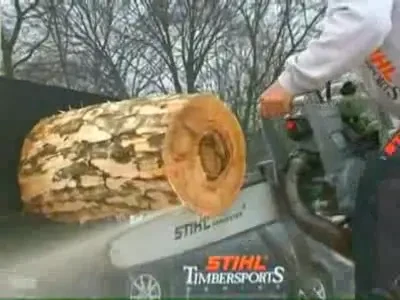 Romania isi cauta nationala de taiat lemne pentru mondialul din 2010!