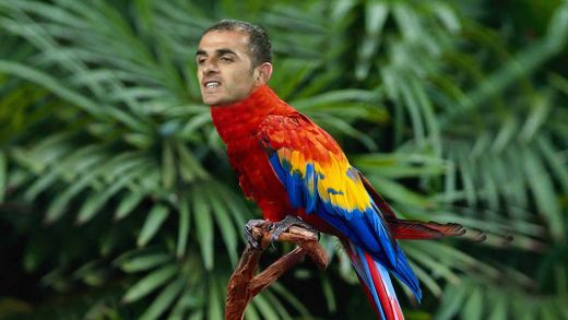 Becali despre jucatorii Stelei: 