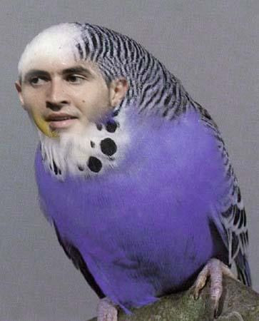 Becali despre jucatorii Stelei: 