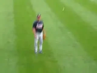 SENZATIE! Cel mai tare fan de baseball din lume! A prins mingea intr-un pahar plin cu bere!