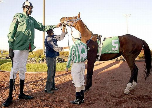 Cel mai inalt jucator din istoria NBA! Are 231 cm, cat Ghita Muresan! FOTO:_18