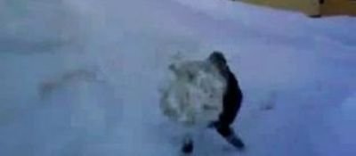 VIDEO! Iti plac bataile cu bulgari?&nbsp;Vezi cum te poate ingropa un bulgare de zapada! :)