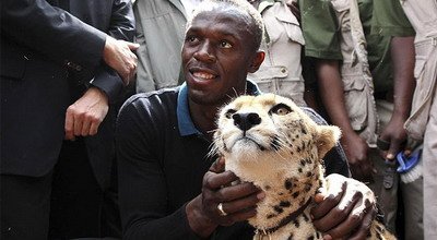 VIDEO Cine e mai tare Bolt sau un GHEPARD? Vezi ultima provocare a lui Bolt!