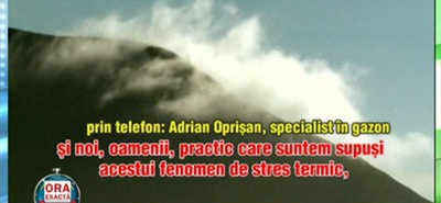 Halucinant! Explicatiile expertului: de ce gazonul Stelei e ca un camp agricol