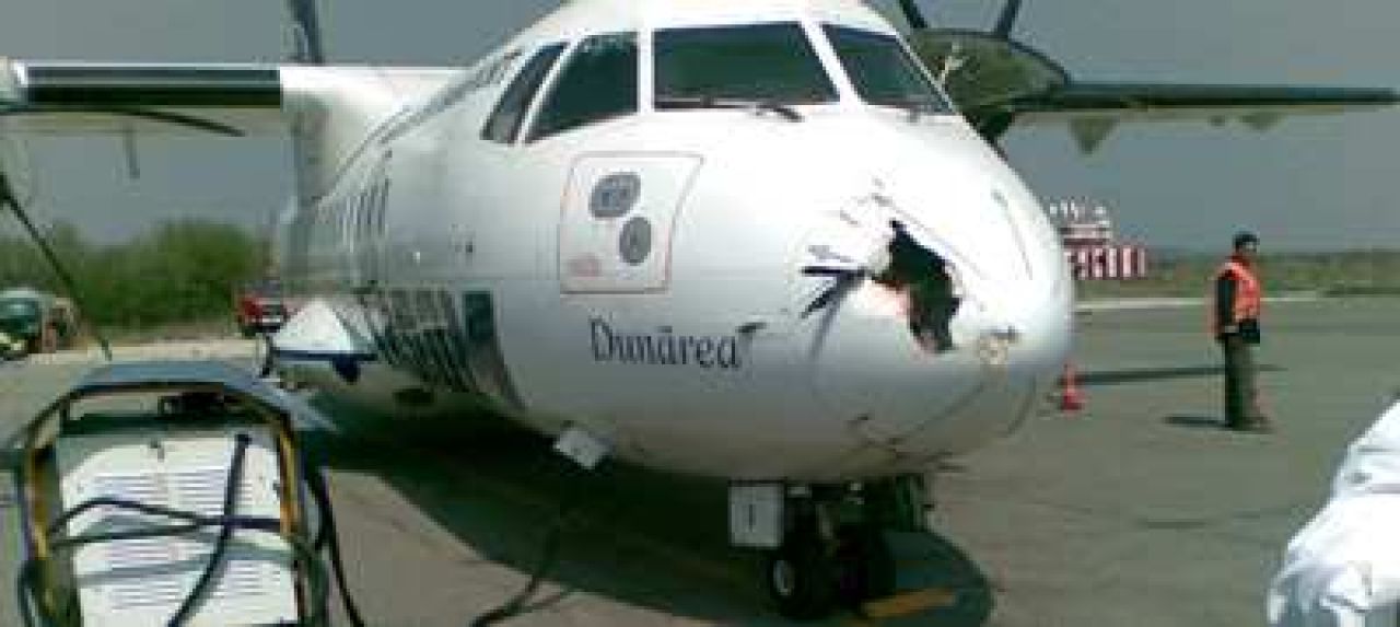 FOTO: Dinamo, la un pas de DEZASTRU! Rednic: