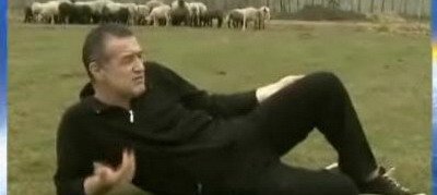 Cum face Becali rost de benzina pentru Steaua: oile mai productive decat Dayro co!