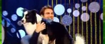 Cainii trag la Mutu! Vezi cum s-a descurcat Mutu in cea mai tare emisiune TV!