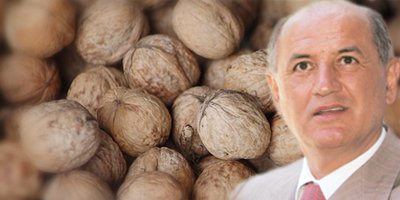 Copos, Spargatorul de nuci! De Sarbatori strangeam nuci pentru zile negre