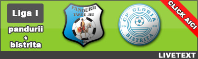Pandurii 1-1 Bistrita (Raskovic / Silvasan)