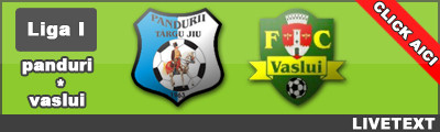 Pandurii 1-0 Vaslui (Alexandru Piturca, 76)
