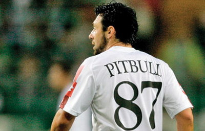 Zotta: Pitbull are intindere, va reveni pe teren peste 2 saptamani!