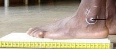 Calcaiul e secretul rezistentei atletilor!