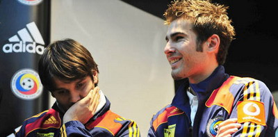 Sandu: Fara Mutu si Chivu, nationala merge greu!