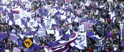 Suporterii Timisoarei: La Timisoara se iubeste, nu se discuta!