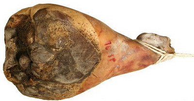 Turcu: Isi cere si Jambon asta drepturi!