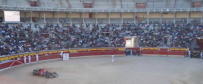 Pamplona reloaded! Curse de cai...putere!