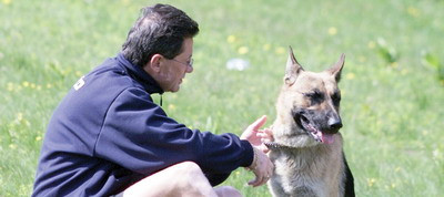 Doua meciuri cu Daniel Niculae sunt destul