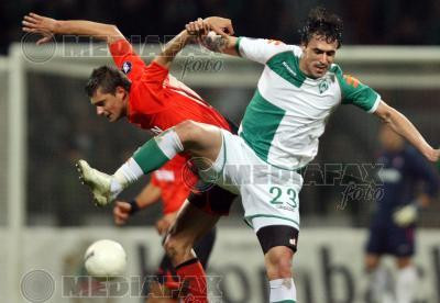 Gabi Tamas va absenta la meciul cu Olanda