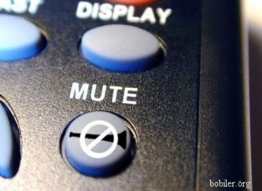 Cea mai tare GALERIE FOTO despre VUVUZELE_7