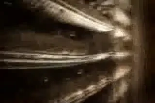 VIDEO / IN-CRE-DI-BIL: Uruguayanul Larrionda a comis-o si alta data! Iata cum NU a vazut un gol clar al lui Adriano: