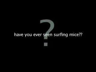 Senzational! Soarecele care face SURF! Vezi foto si video!