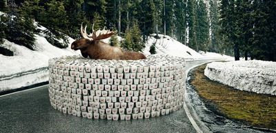 E roman, a scris pe www.sport.ro si e campion mondial!_3