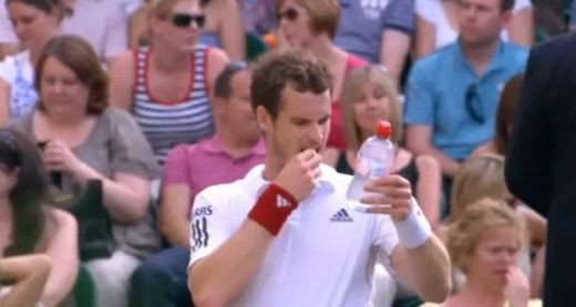 Ce teapa si-a luat Murray la Wimbledon: