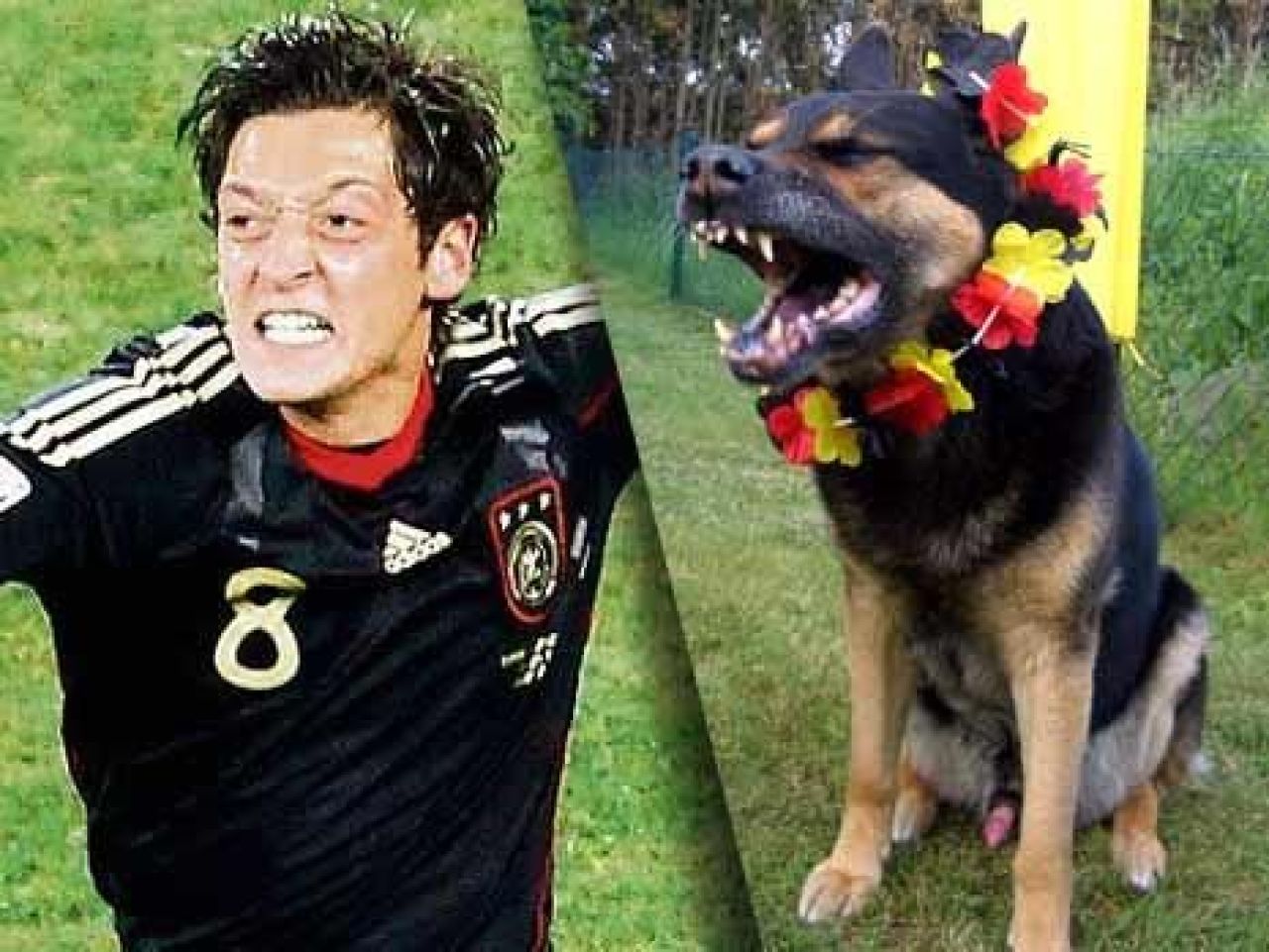 Cea mai tare poza inainte de semifinala Spania - Germania! FOTO_9