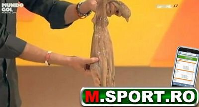 Spaniolii au UCIS cu sange rece caracatita Paul in direct!