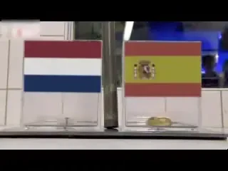 VIDEO! Caracatita prezicatoare Paul a decis: OLANDA E CAMPIOANA MONDIALA!!!