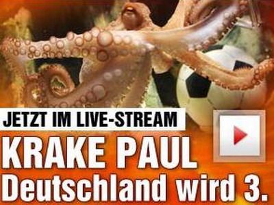 Caracatita Paul a ales: Spania e campioana mondiala! Germania castiga finala mica! VIDEO_1