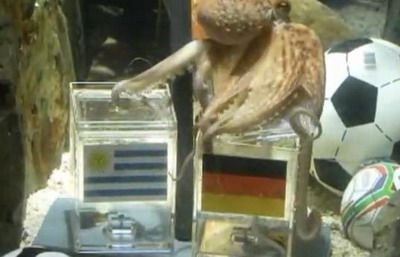 Caracatita Paul a ales: Spania e campioana mondiala! Germania castiga finala mica! VIDEO_2