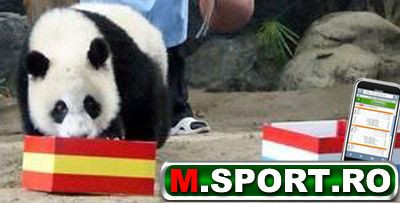 Caracatita Paul a lansat o noua moda! Vezi ce au prezis ursul Ping Lin si corocodilul Harry!