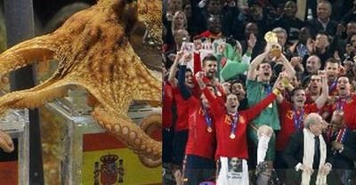 Caracatita PERFECTA! Paul a ghicit toate scorurile de la mondiale!