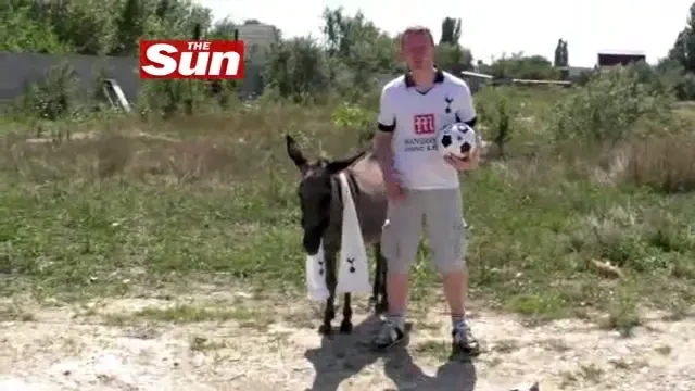 Magarul joaca fotbal!