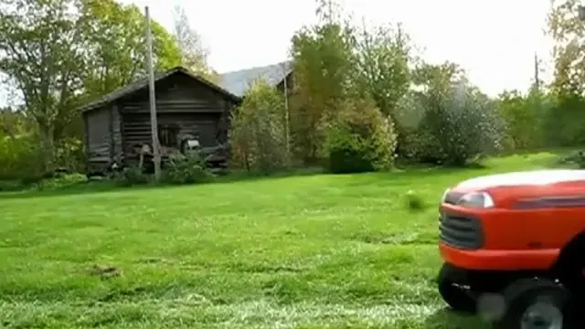 CLIPUL ZILEI! El e cainele care i-a facut VARZA gazonul de pe Ghencea? :)) VIDEO