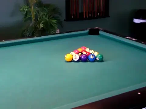 SENZATIONAL! Un chiwawa NEBUN curata masa de biliard! VIDEO