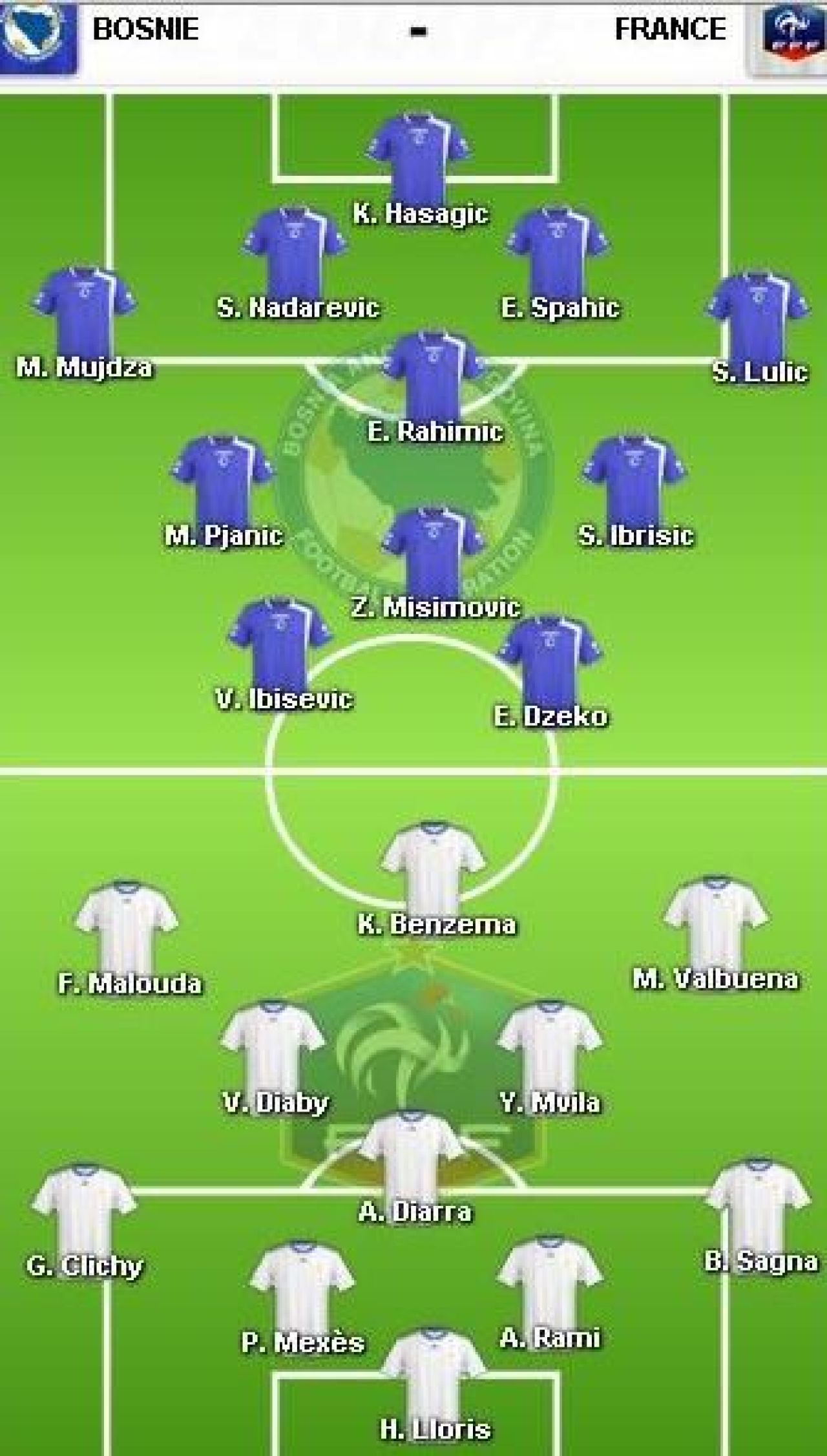 VIDEO Franta nu e MOARTA: Bosnia 0-2 Franta! Vezi golurile lui Benzema si Malouda!_1