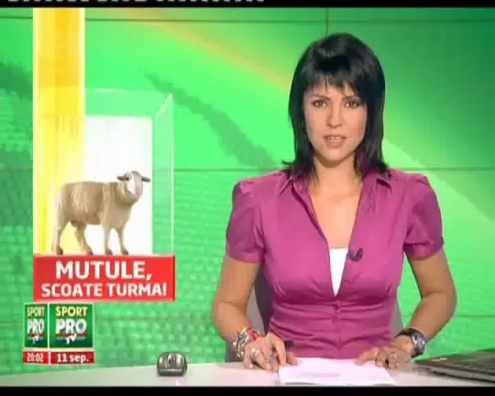 Gigi vrea banii de la Mutu... ca sa-si cumpere 500 de oi: "Daca-l prind, il cotonogesc!"