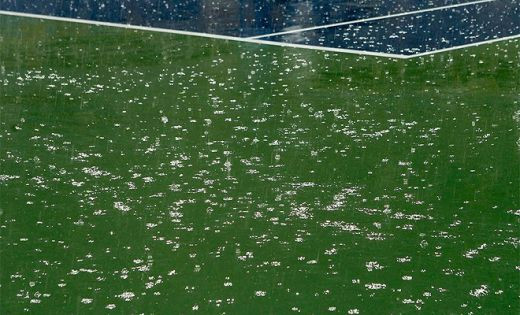 NADAL e REGELE: l-a invins pe Djokovic in finala de la US Open!_9