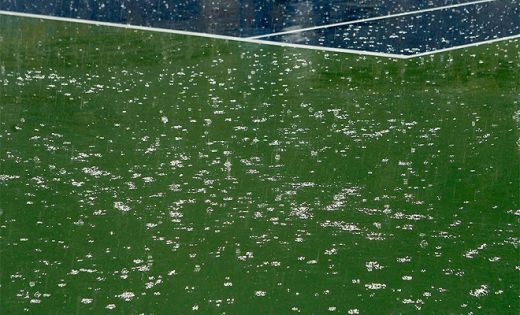 NADAL e REGELE: l-a invins pe Djokovic in finala de la US Open!_9