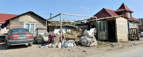 CE oameni RAI: Deseuri si caini morti pe strada - asa a inceput aventura in Transilvania! Imagini socante:_2