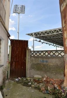 CE oameni RAI: Deseuri si caini morti pe strada - asa a inceput aventura in Transilvania! Imagini socante:_5