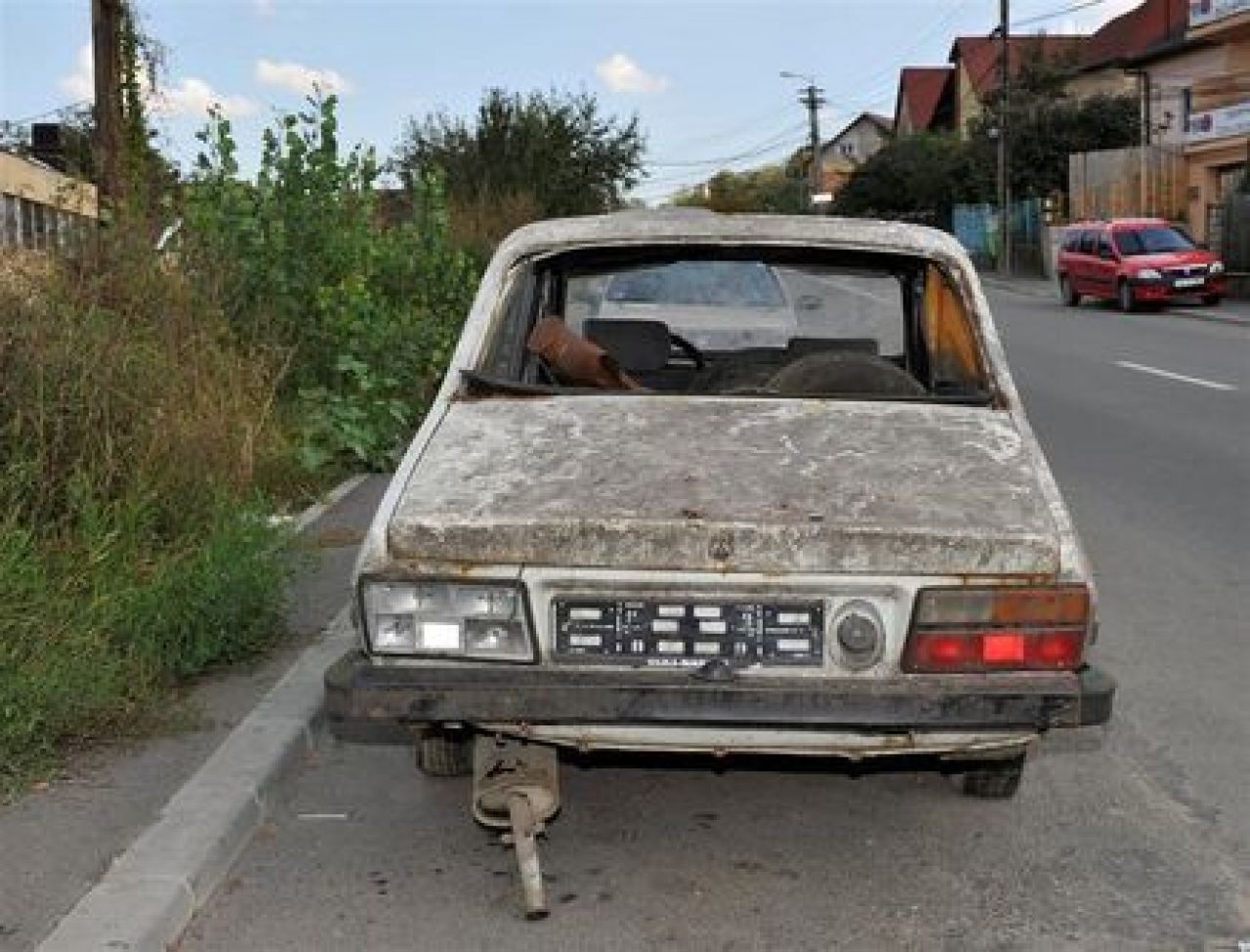 CE oameni RAI: Deseuri si caini morti pe strada - asa a inceput aventura in Transilvania! Imagini socante:_17