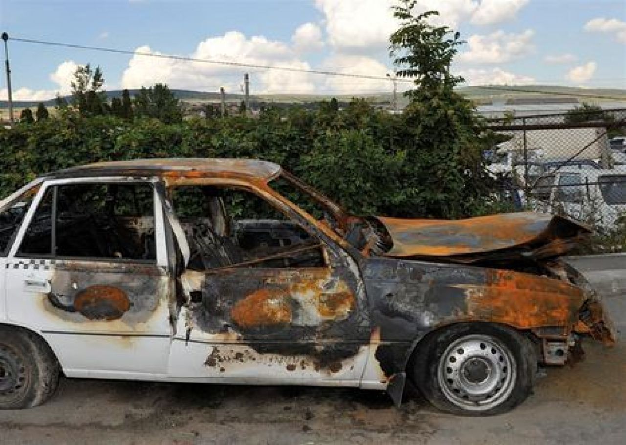 CE oameni RAI: Deseuri si caini morti pe strada - asa a inceput aventura in Transilvania! Imagini socante:_24