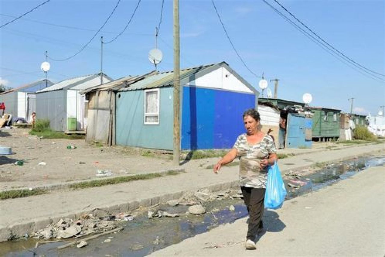 CE oameni RAI: Deseuri si caini morti pe strada - asa a inceput aventura in Transilvania! Imagini socante:_30
