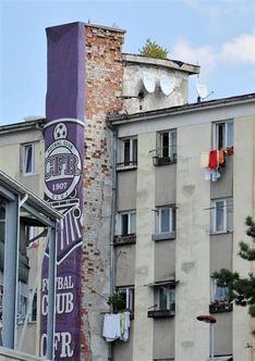 CE oameni RAI: Deseuri si caini morti pe strada - asa a inceput aventura in Transilvania! Imagini socante:_34