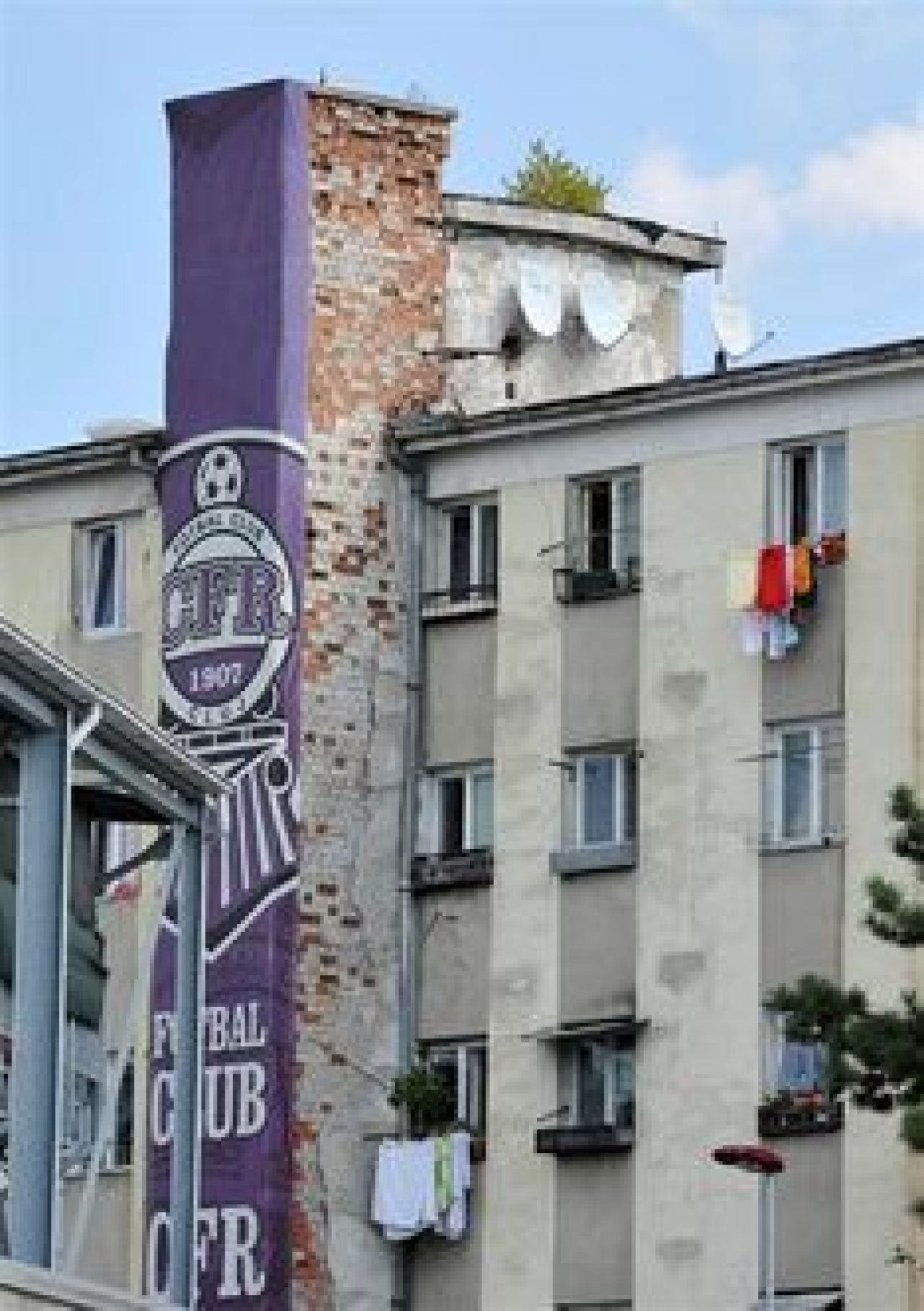 CE oameni RAI: Deseuri si caini morti pe strada - asa a inceput aventura in Transilvania! Imagini socante:_34