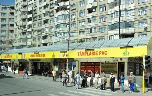CE oameni RAI: Deseuri si caini morti pe strada - asa a inceput aventura in Transilvania! Imagini socante:_35