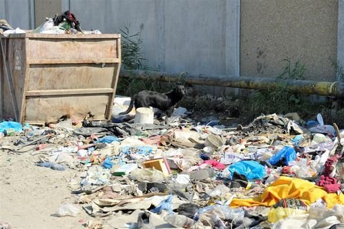Scandal la Cluj: elvetienii ne-au facut AFRICANI: primarul Clujului reactioneaza! Fanii au luat FOC_19